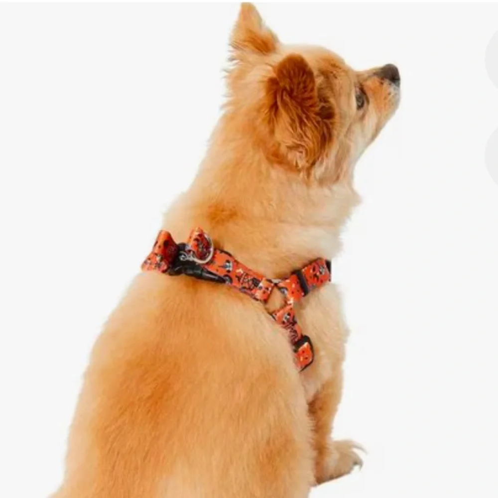 NWT Spooky Minnie Halloween Dog Harness L